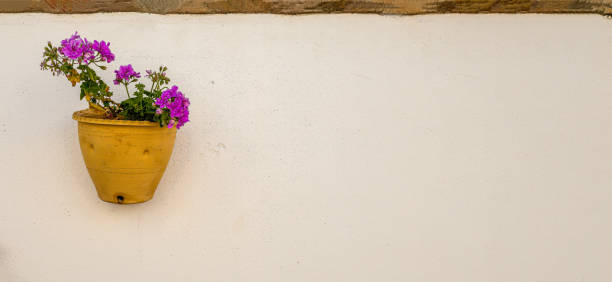 istock Yellow pot with geranium in a typical Andalusian wall 1226280929