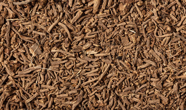 Valerian root texture - Valeriana officinalis Valerian root texture. (Valeriana officinalis) Shredded dry rhizomes with the roots of a medicinal plant as background healthcare fitness and herbal medicine banner set stock pictures, royalty-free photos & images
