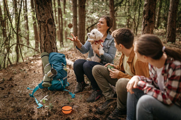 istock Family having fun with pet dog while relaxing in forest 1226284088