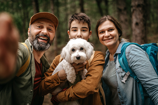 Happy man taking selfie while hiking with family in forest