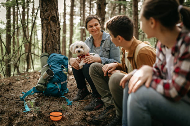 istock Family having fun with pet dog while relaxing in forest 1226284919