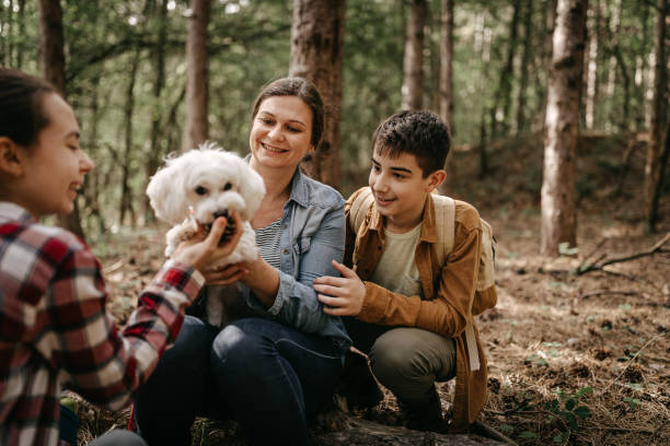 istock Family having fun with pet dog while relaxing in forest 1226284957