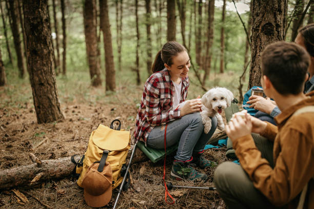 istock Family spending leisure time on hiking tour 1226285110