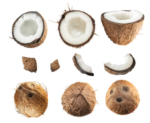 istock set coconut isolated on the white background 1226290719
