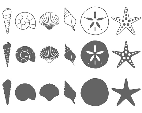 Collection of black and white sea shell outlines and silhouettes on a white background.