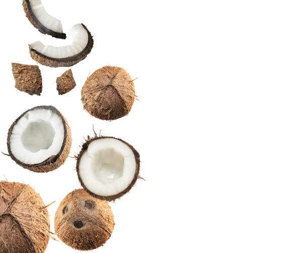 istock set coconut isolated on the white background 1226290764