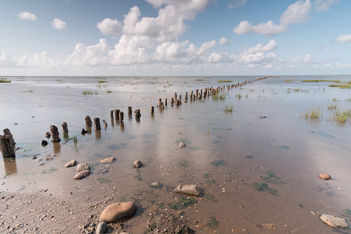Pilares de madera rompeolas formando una línea en el mar danés de Wadden en el Parque Nacional Vadehavet. Isla Romo, Dinamarca photo