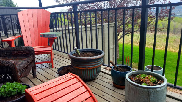 istock Preparing The Residential Deck Garden Pots For Planting 1226294407