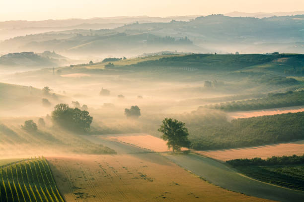 Misty summer sunrise in Langhe Italian countryside langhe photos stock pictures, royalty-free photos & images