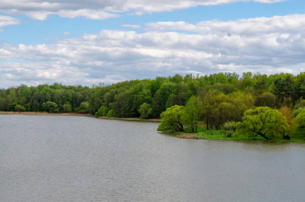 istock Lake in the spring on a cloudy day 1226296079