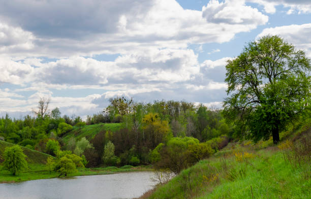 istock Lake in the spring on a cloudy day 1226296245