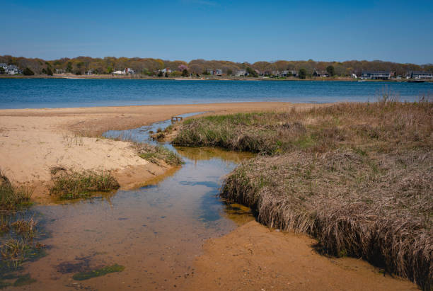 istock Cape Cod Seascape along the coastline at Sunrise 1226296423