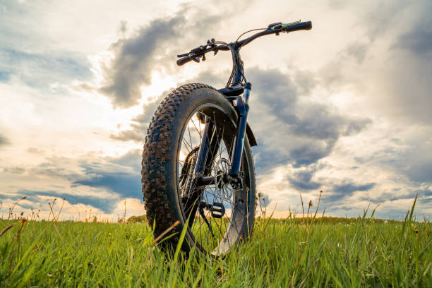 istock A Bicycle with thick wheels on a green meadow against a beautiful sky. 1226297033