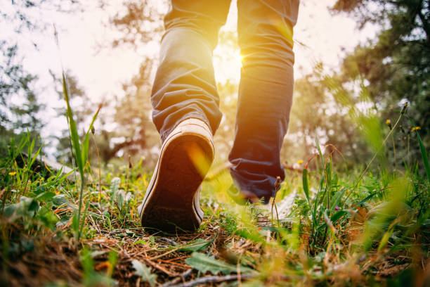 istock Man Walking in the Forest 1226297378