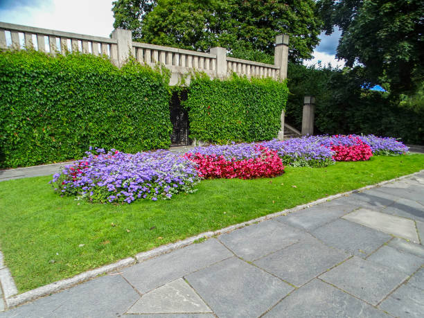 istock Colorful flower garden 05 1226298997