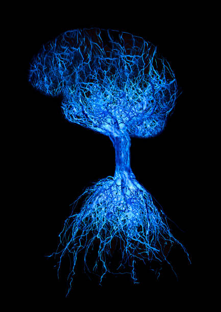 istock Concept human brain with blue glowing connection made from roots of tree on black background. 1226300013