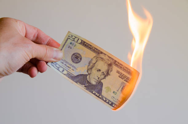 istock Hand holding a burning 20 US dollar bill 1226315348