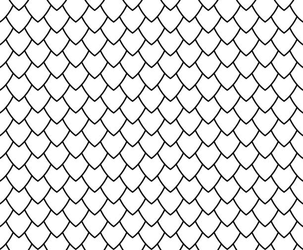 Fish, mermaid, dragon, snake scales. Black and white geometric pattern. Minimal background for your design. Seamless abstract texture. Vector illustration. dragon stock illustrations