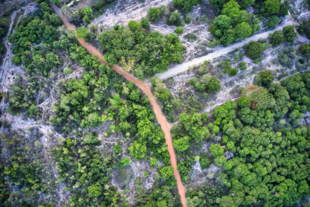istock Rustic landscape with trees and dirt roads from above! Drones photo! 1226319204