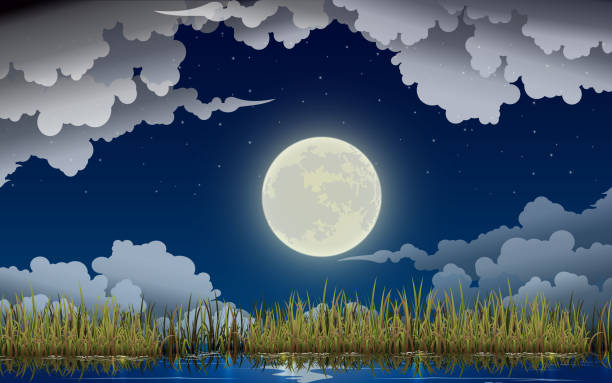 black and white room landscape of river in the full moon night marsh illustrations stock illustrations