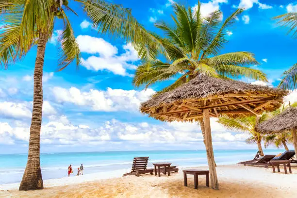 Sun loungers under umbrella and palms on the sandy beach by the ocean and cloudy sky. Vacation background. Idyllic beach landscape in Diani beach, Kenya, Africa.