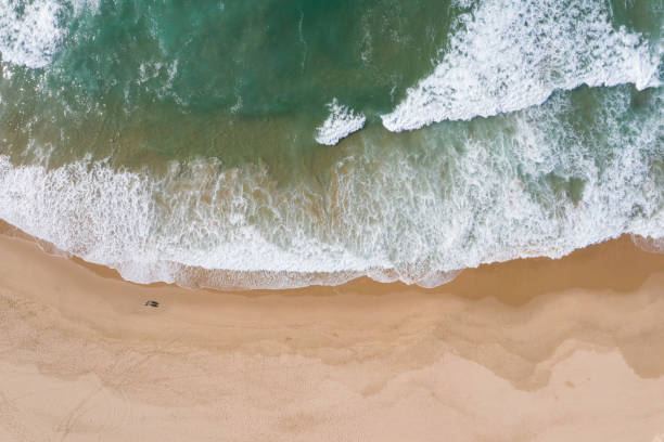istock High angle view of a couple walking on a sandy beach 1226327464