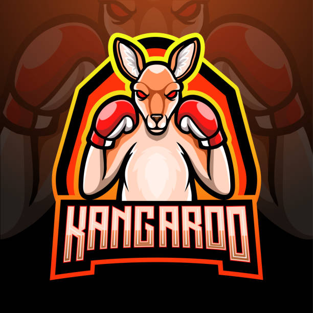Kangaroo esport  mascot design Kangaroo esport  mascot design kangaroos fighting stock illustrations