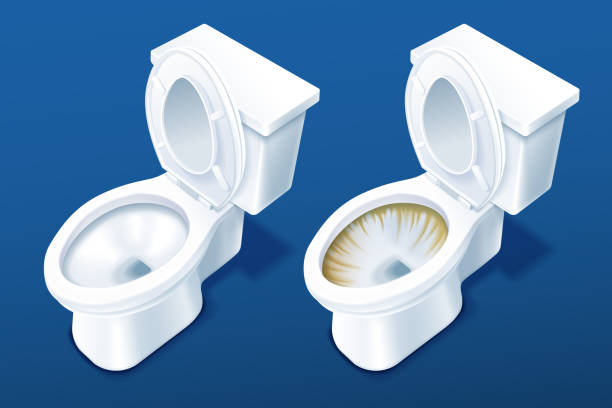 Comparison of two toilet bowls 3d illustration comparison of two toilet bowls on blue background, before and after applying detergent cleaner toilet bowl stock illustrations