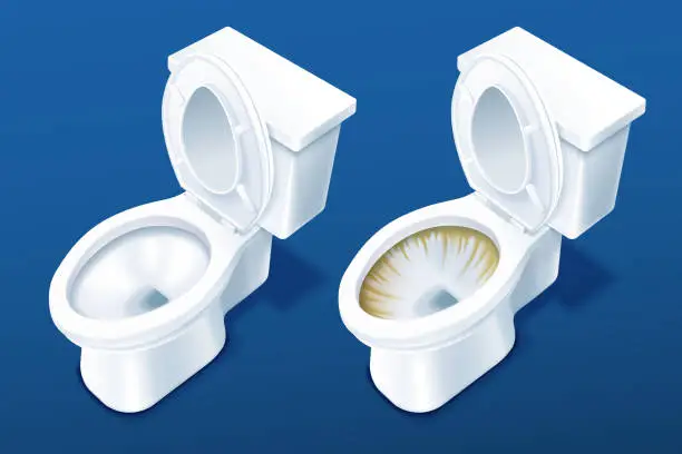 Vector illustration of Comparison of two toilet bowls