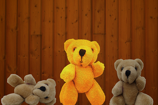 Teddy bear  Doudou  Childhood  Toy