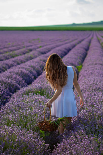 istock Ladies in Lavender 1226332560