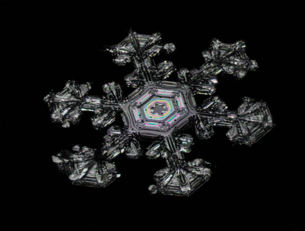 istock Microphotograph of Snowflake 2/14/2020 1226333918