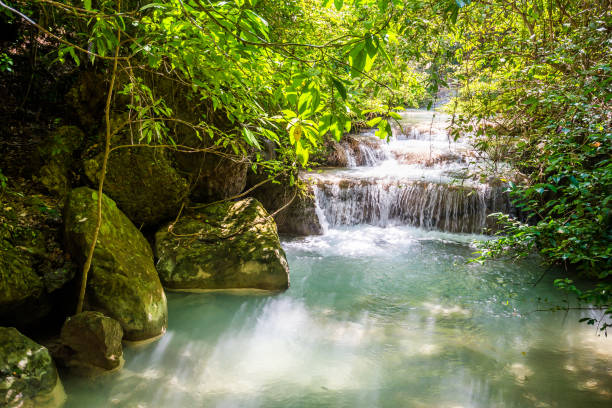 chute d’eau et couleur d’eau émeraude bleue dans le parc national d’erawan. - waterfall tropical rainforest erawan thailand photos et images de collection