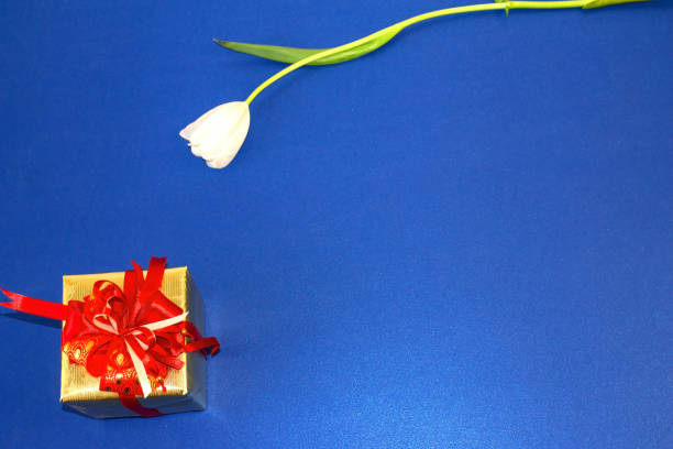 110+ Lancer Protocolaire Photos, taleaux et images libre de droits iStock