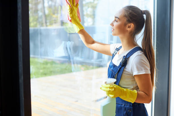 istock Portrait of young woman cleaning windows in cottage 1226344708