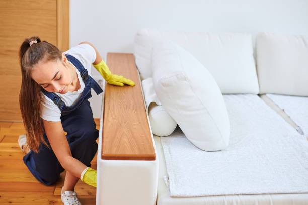 istock Careful cleaner female doing good cleaning work 1226344933