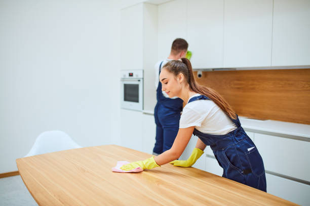 istock Cleaning service team at work in kitchen with white interior 1226345087