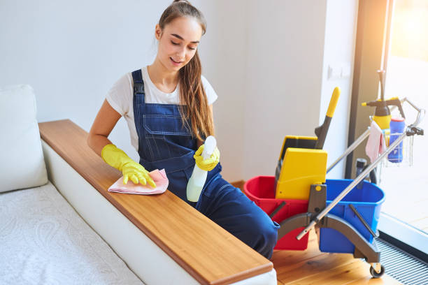 istock Energetic cleaning lady wipes dust off corner of sofa 1226346347