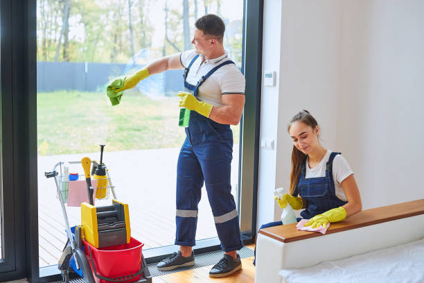 istock Successful team of two janitors 1226346419