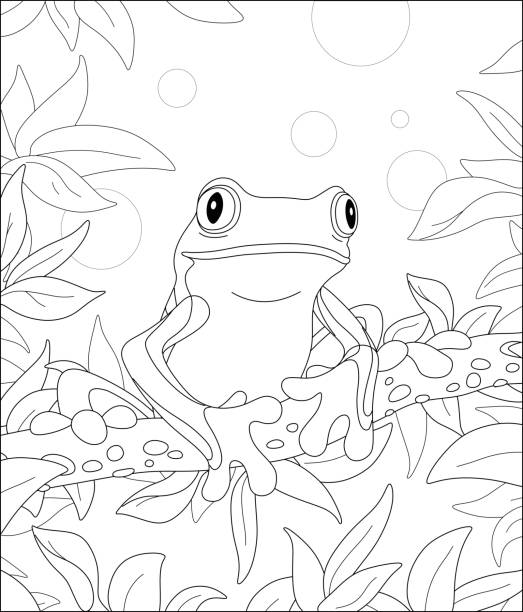 Funny tropical frog on a tree branch Wild scenery with an amusing poisonous frog sitting on a branch in a wild tropic rainforest, black and white outline vector cartoon illustration for a coloring book page cartoon of a frog black and white stock illustrations