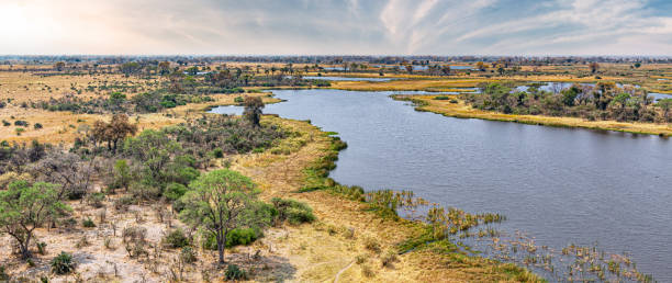 istock Helicopter Safari at the Okavango Delta, Botswana 1226356550