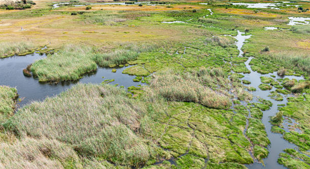 istock Helicopter Safari at the Okavango Delta, Botswana 1226357933