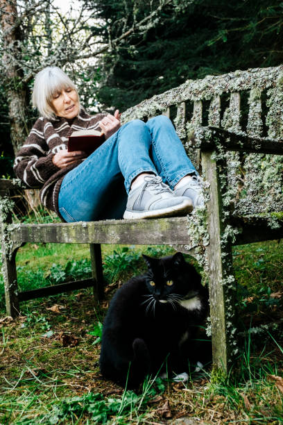 istock Time for One's Self - fresh air, a cat and a good book 1226358333