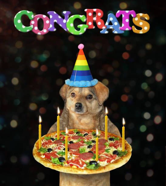 istock Dog in birthday hat holds pizza 2 1226359693