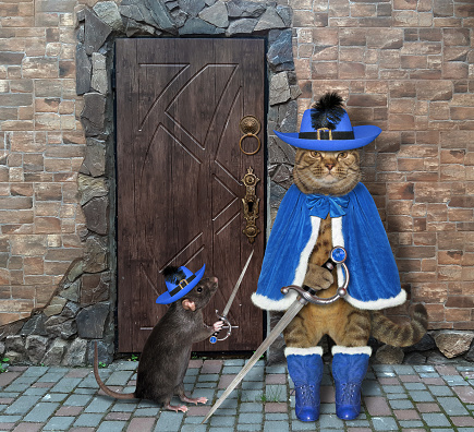 The beige cat and a black rat in blue musketeer uniform with swords are guarding the door of an old castle together
