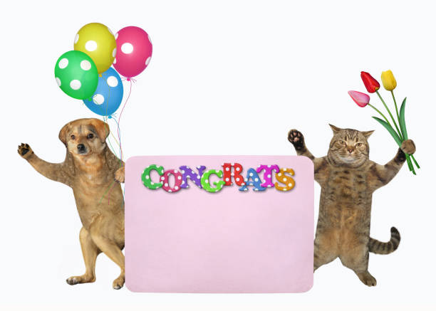 istock Dog with cat near pink poster 2 1226359711