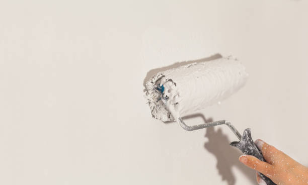 istock Human hand with large roller of paint begins to paint a white wall handicraft master painter training contrast color sample color test tool renovation white craftsman do it yourself 1226360506