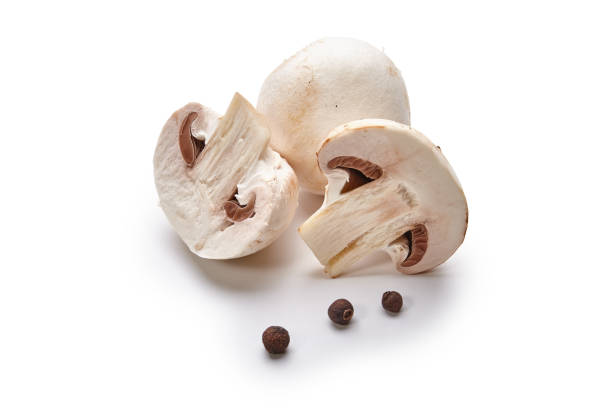 Cтоковое фото Белые грибы лежат на белом фоне