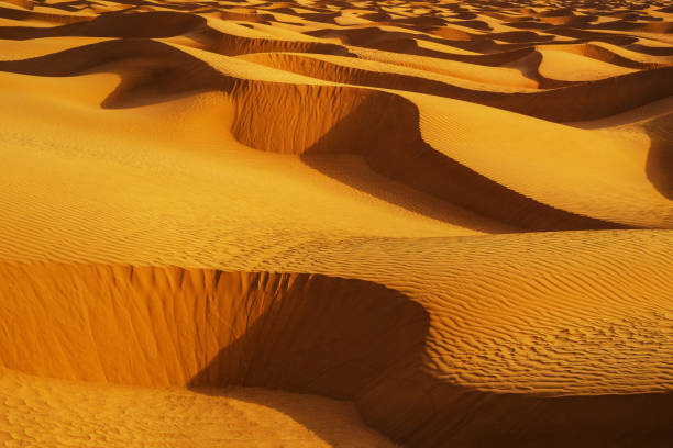 Sand dunes in the Sahara Desert. Beautiful sunset in the Sahara desert stock photo
