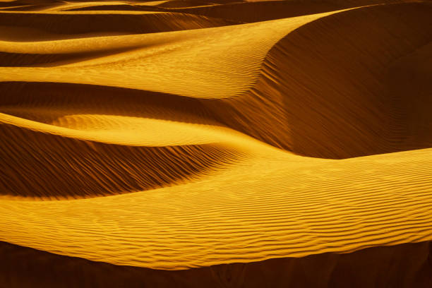 Sand dunes in the Sahara Desert. Beautiful sunset in the Sahara desert stock photo